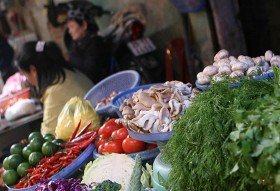 Cẩn trọng với Nấm không rõ nguồn gốc