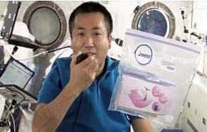 Nhật xôn xao về bí ẩn “hoa anh đào từ vũ trụ”