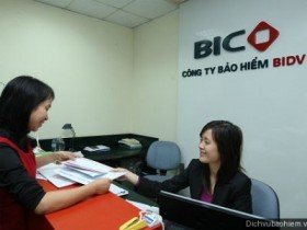 BIC sẽ phát hành tăng vốn lên 1.000 tỷ