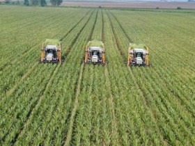 Thủ tướng sốt ruột về thu hút đầu tư nông nghiệp