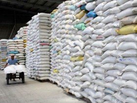 Vinafood 2 công ít, tội nhiều, Bộ trưởng xử sao?