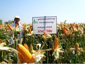 5 cổ phiếu cần quan tâm ngày 12/5
