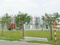 Chết cóng ở vùng "đất nóng" Bình Dương