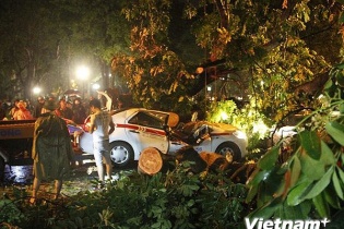 Hà Nội: tài xế taxi tử vong do bị cây đè trong cơn mưa giông lớn