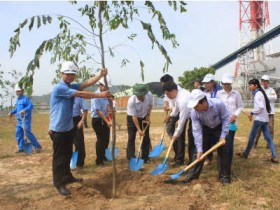 KKT Nghi Sơn hưởng ứng ngày môi trường thế giới