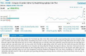 F.I.T sẽ nắm giữ cổ phần chi phối vốn tại TSC