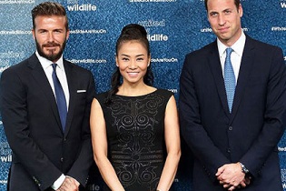 Ca sỹ Thu Minh gặp gỡ Hoàng tử Anh và David Beckham