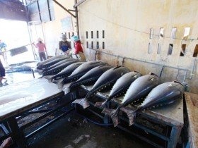 Doanh nghiệp Việt Nam - Ba Lan đẩy mạnh giao thương