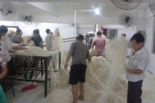 Kinh hoàng công nghệ làm miến bằng... chân