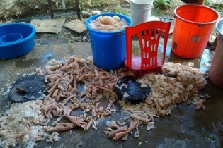 Thanh Hóa yêu cầu kiểm tra, xử lý, bảo vệ thương hiệu "nem chua Thanh Hóa"