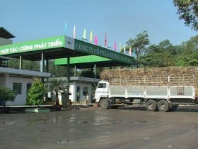 Đường Ninh Hòa lập công ty con tại Singapore