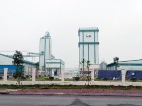 Vì sao đầu tư của Mỹ vào nông nghiệp Việt Nam thấp?