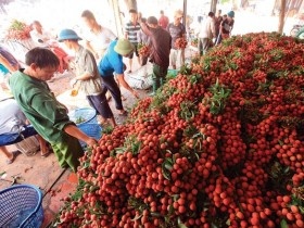 Nông sản cũng phải lo "đánh bắt xa bờ"