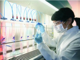 Giám đốc kinh doanh nhận lương 161 triệu/tháng