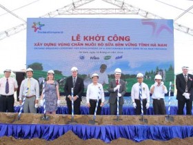 FrieslandCampina xây dựng vùng chăn nuôi bò sữa tại Hà Nam