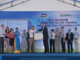 Trang trại bò sữa Vinamilk đạt chứng nhận Global G.A.P