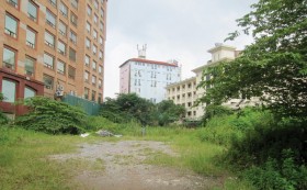 Tháp Doanh nhân của Anh Quân Strong: 1.200 tỷ trồng cỏ dại?