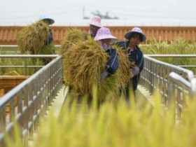 Dự án Tài chính nông thôn đầu tư tiếp 5 tỷ USD