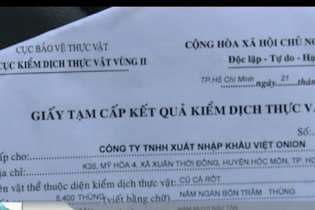 Cà rốt nhập khẩu chưa thông quan đã mang tiêu thụ