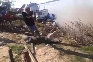 Suýt mất mạng khi giẫm lên thân cá sấu đùa giỡn với tử thần