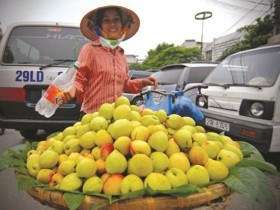 Cẩn trọng với nông sản ngoại đội lốt nội