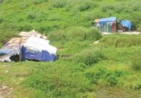 Thu hồi các dự án nhà ở xã hội “câu giờ” giữ đất