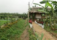 Hướng dẫn cấp sổ đỏ cho đất không chính chủ