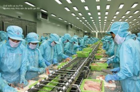 5 cổ phiếu cần quan tâm ngày 8/8