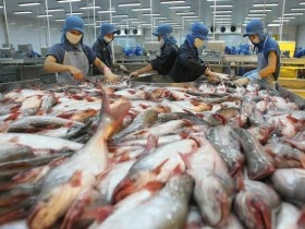 Thủy sản Việt Nam rộng đường sang Australia