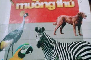 Sau phim 18+, lại lọt truyện cổ tích 18+ dành cho trẻ em!