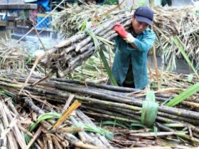 Dừng tạm nhập, tái xuất đường qua cửa khẩu phụ