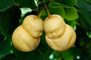 Độc đáo với trái cây tạo hình lạ mắt