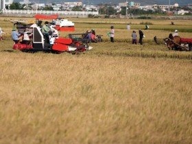 Tam nông: Trọng điểm số một của công nghiệp hóa