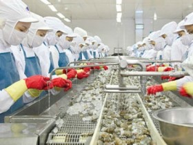 Khơi dòng tiềm năng xuất khẩu sang Nga