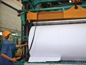 Dự án Bột giấy Sojitz tìm được đường ra