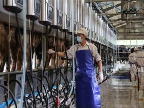 Vinamilk vào Top 100 doanh nghiệp hàng đầu ASEAN 2014
