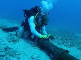 Sáng nay, Internet Việt Nam trở lại hoạt động bình thường