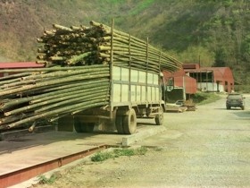 Thống Nhất... thống nhất lên sàn