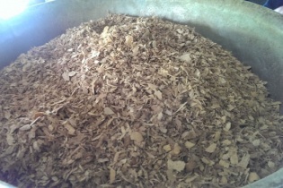 Sự thật về bài thuốc thổi khói chữa bách bệnh của ông lang ở An Giang