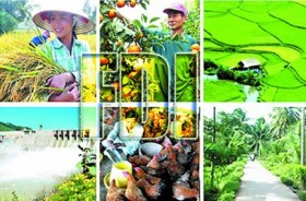 Vốn FDI vào nông nghiệp giảm 30 lần sau 15 năm