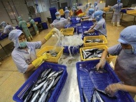 Nền kinh tế tiếp tục phục hồi