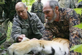 Trung Quốc ráo riết tìm kiếm con hổ của Tổng thống Putin