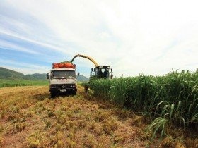 Đại gia Việt bàn chuyện làm nông nghiệp