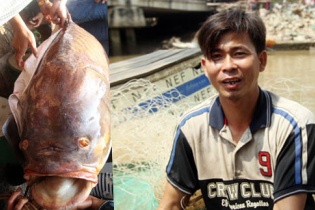Gặp người bắt được con cá hô khủng nặng gần 130kg