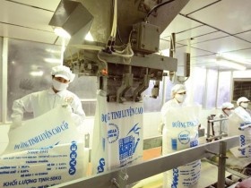 Nhà đầu tư Ấn Độ đặt kỳ vọng vào Việt Nam