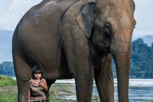 Nhiếp ảnh gia nước ngoài sững sờ trước một cô bé Việt 6 tuổi