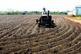 Tín Nghĩa trụ vững tốp 3 xuất khẩu cà phê của Việt Nam