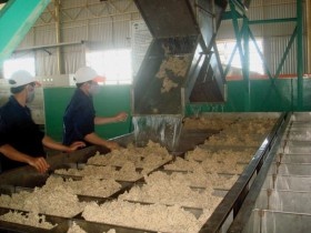 Kích hoạt vốn đầu tư sang Lào