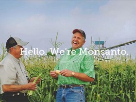 Môi trường làm việc tại Monsanto lý tưởng nhất toàn cầu