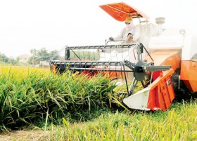 Liên kết xúc tiến đầu tư nông nghiệp Vùng ÐBSCL
